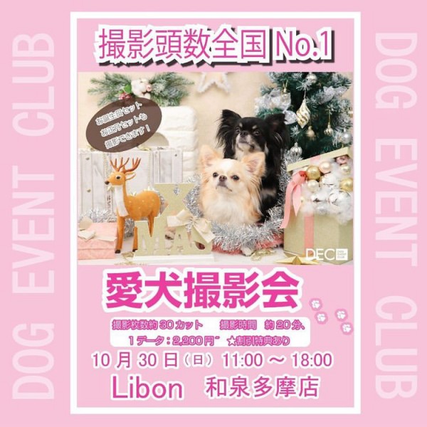 和泉多摩川店　愛犬撮影会を開催します！サムネイル