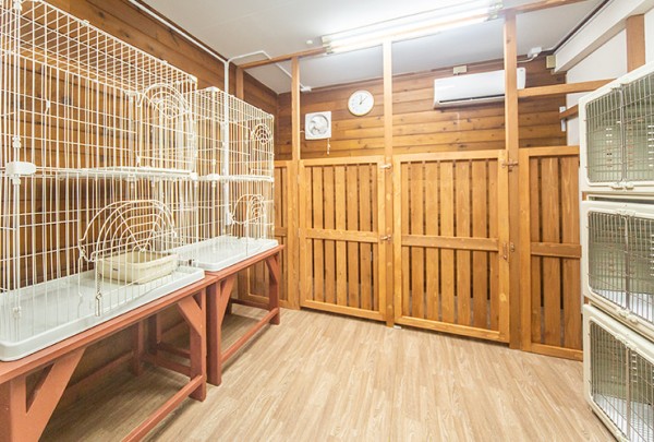 ペットホテル利用はいつから？子犬を安心して預けるためのポイントサムネイル