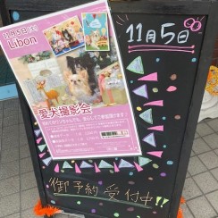 上野店　愛犬撮影会のお知らせサムネイル