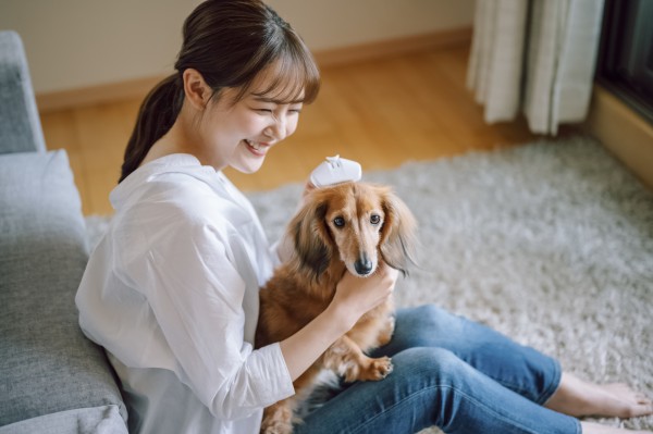 犬がブラッシングを嫌がるときの対処法｜トラブルを減らすステップサムネイル